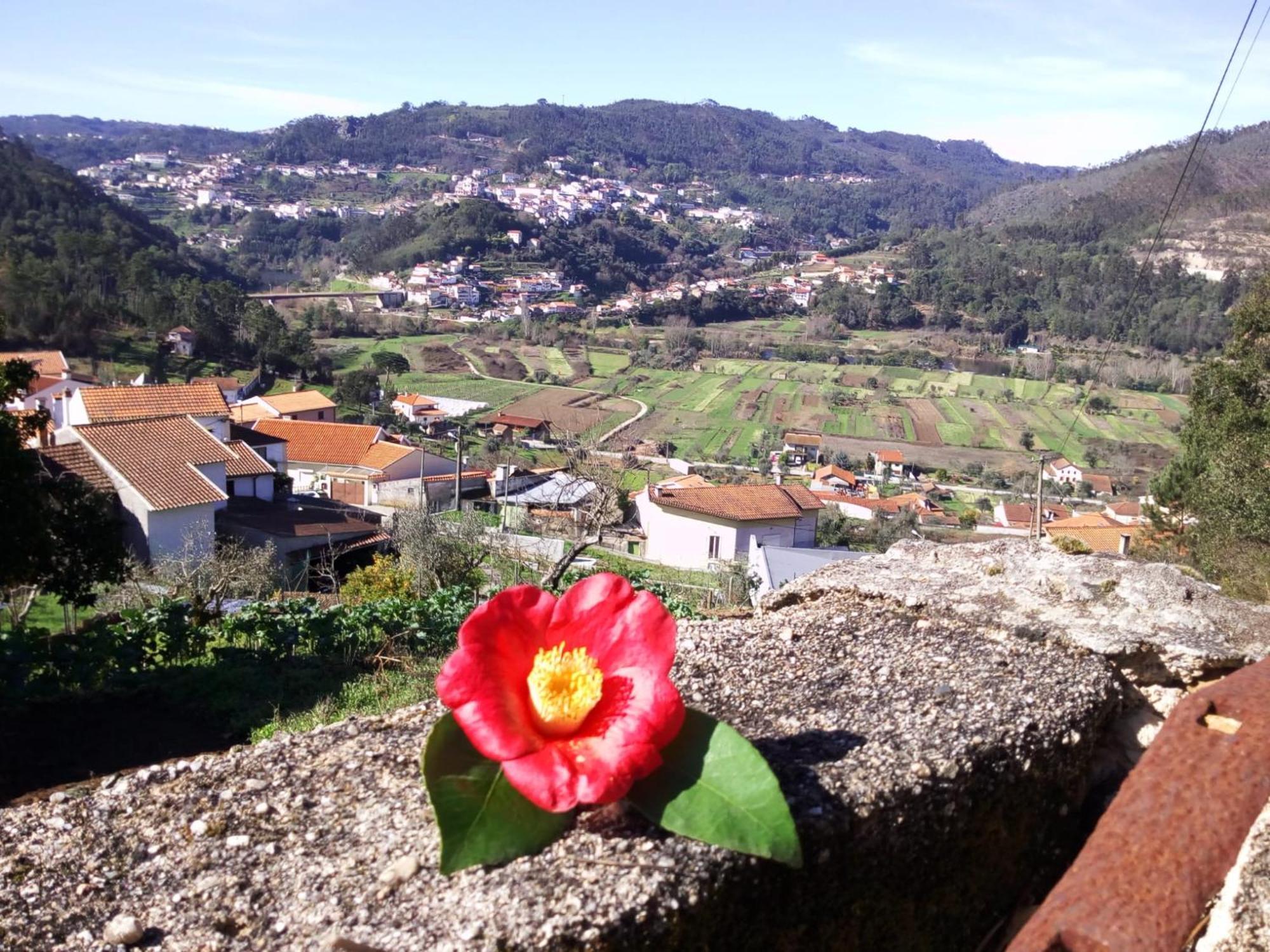 Casinha Da Sobreira Villa Penacova Exterior foto